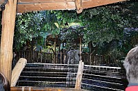 DSC_1996.JPG