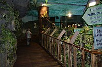 DSC_1998.JPG