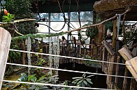 DSC_1999.JPG