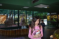 DSC_2000.JPG