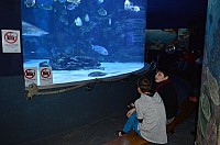 DSC_2003.JPG