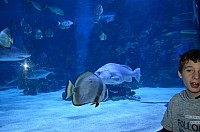DSC_2004.JPG