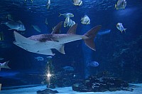 DSC_2005.JPG