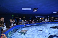 DSC_2006.JPG