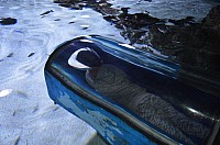 DSC_2007.JPG