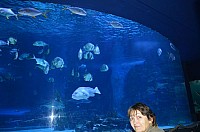DSC_2008.JPG