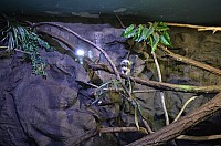 DSC_2009.JPG