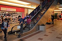 DSC_2011.JPG
