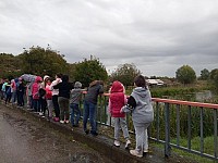 P01007-100045.jpg