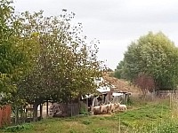 P01007-100344.jpg