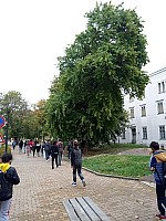 P01007-120441.jpg