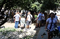 IMG_0953.JPG